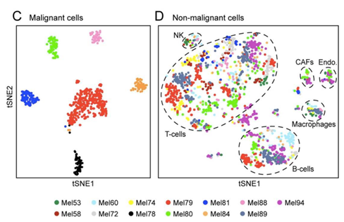 1635301698183030.png 1-1PFG13035B0.png